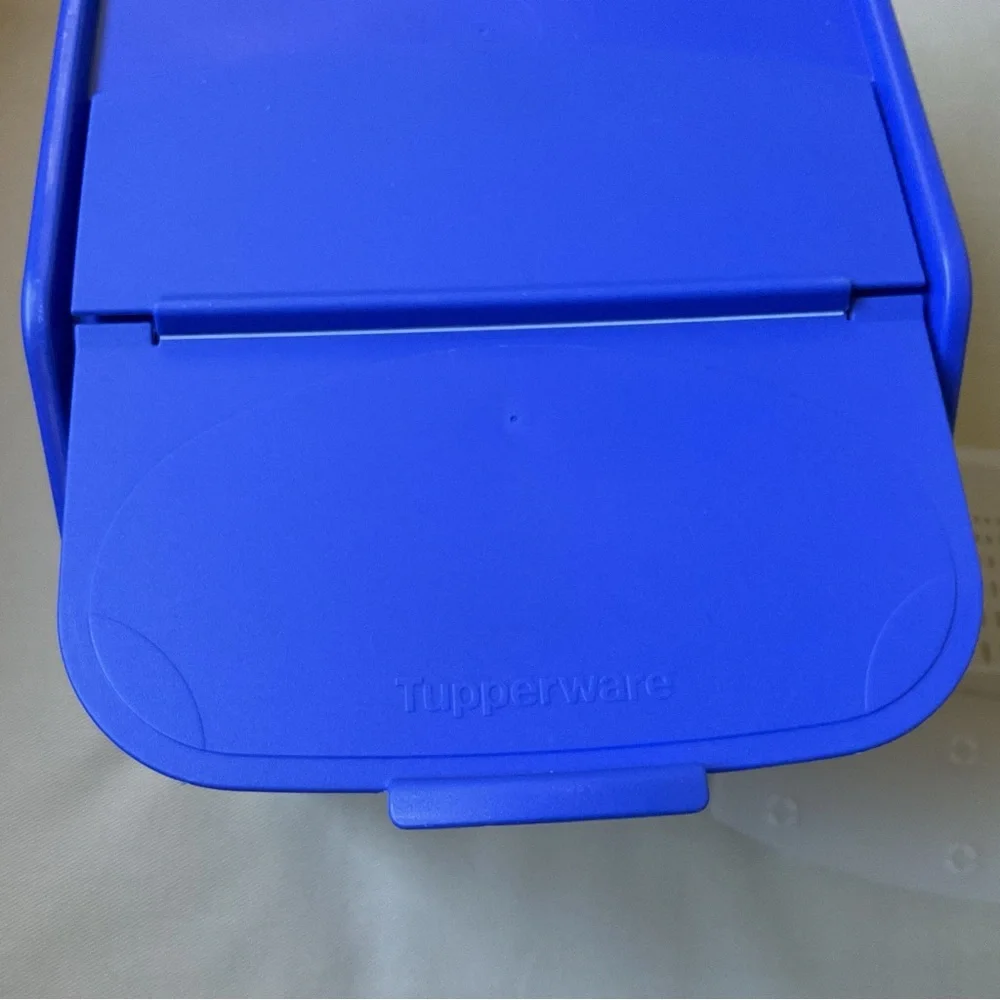 Tupperware Potato Onion Smart Container Keeper Clear/Blue 8.3L 4 Piece Set
